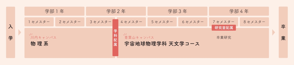 カリキュラム概要